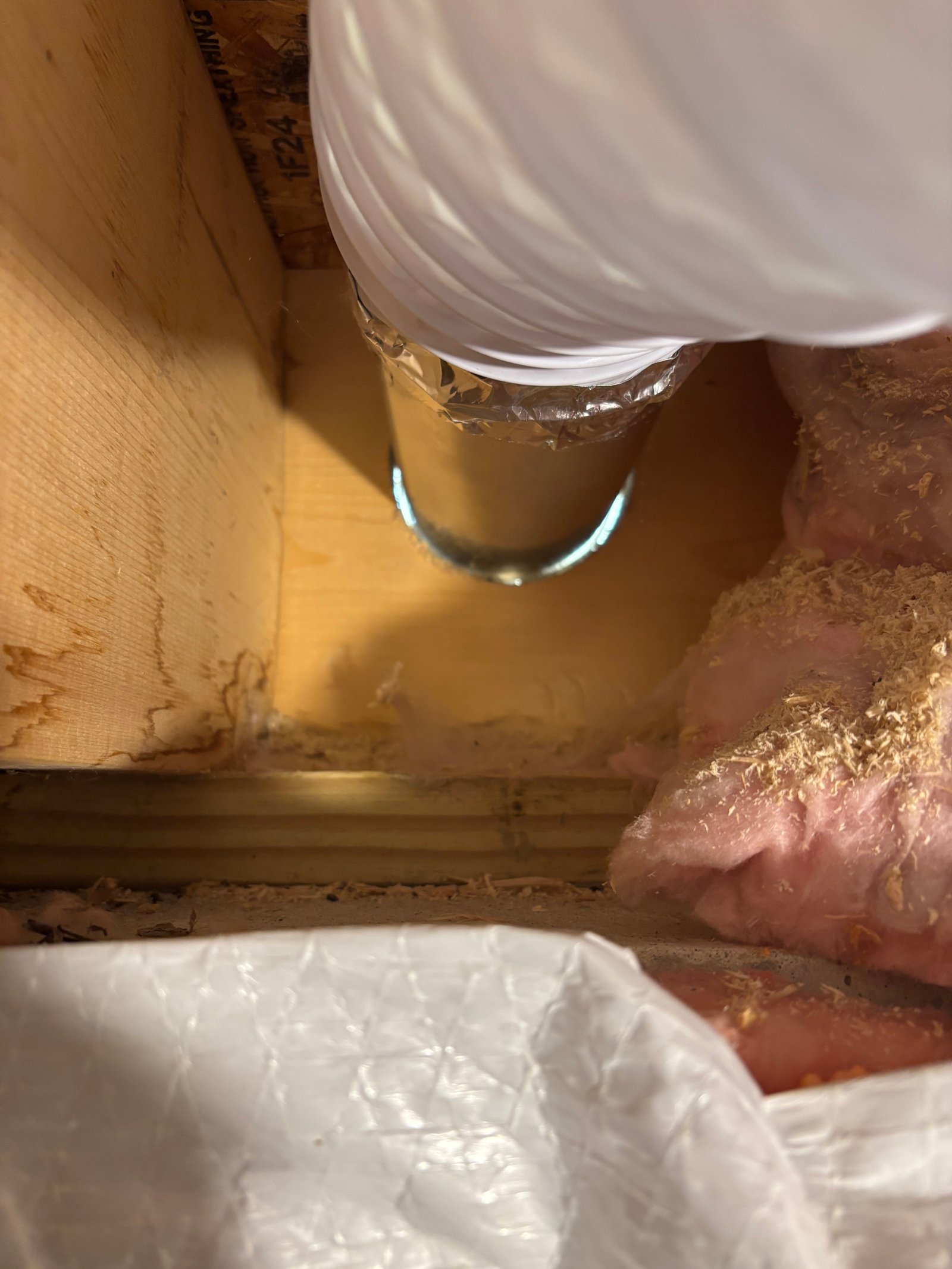 A dryer vent with gaps around the duct in an attic — mouse entry point