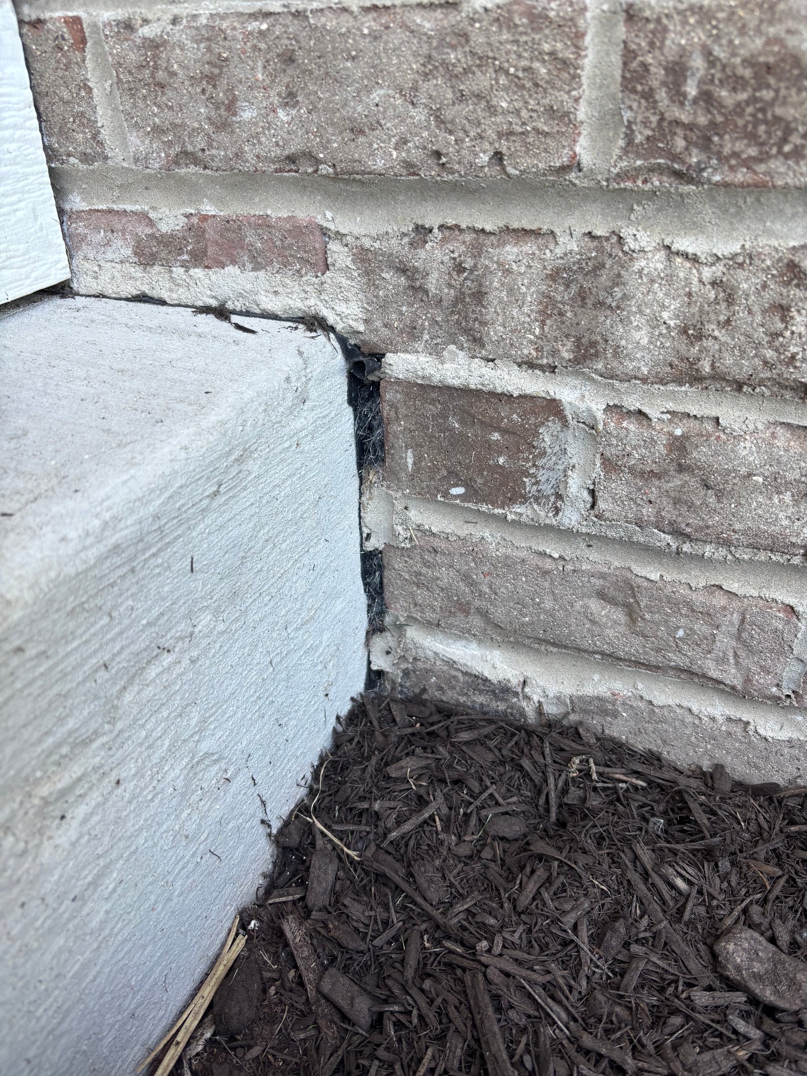 The same porch gap packed with Excluder material after exclusion work