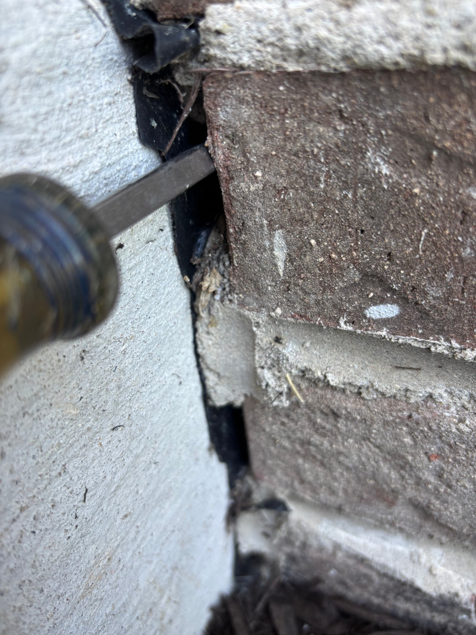 A gap at the base of a front porch where siding meets concrete — mouse entry point