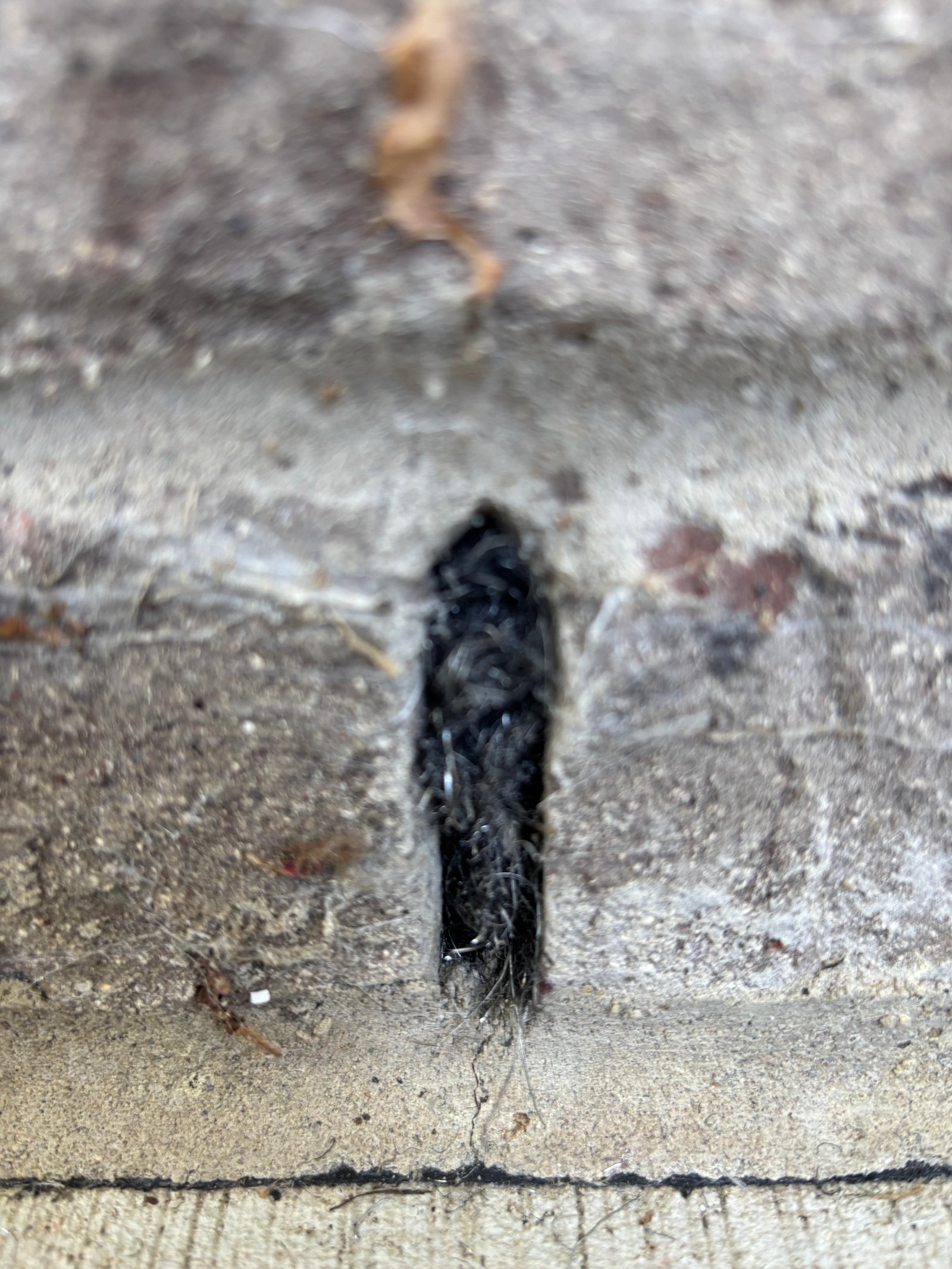 The same weep hole after exclusion — sealed with Excluder material